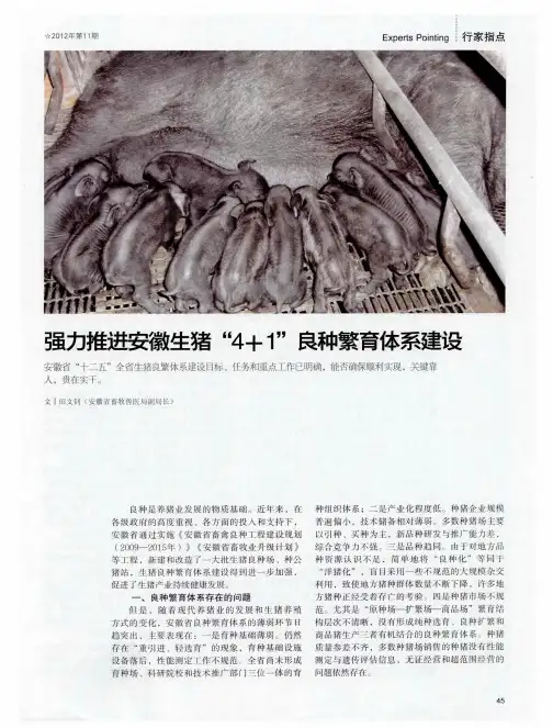 强力推进安徽生猪“4+1”良种繁育体系建设