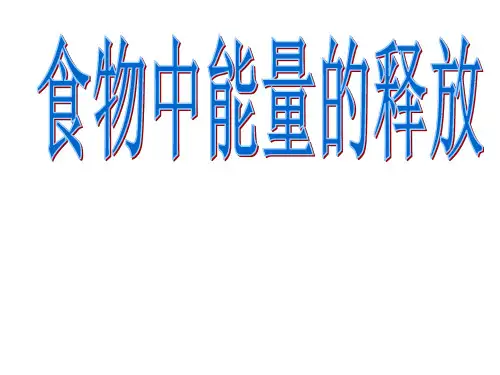 最新北师大版初中生物七年级下册《10第1节 食物中能量的释放》精品PPT课件 (6)