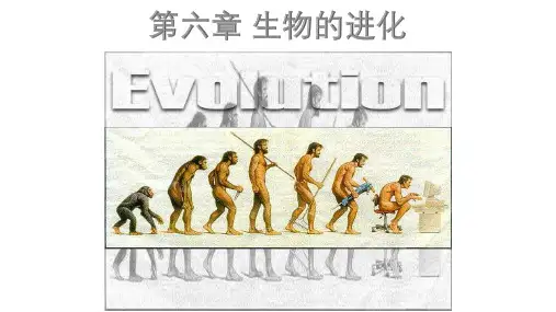 高中生物人教版新教材必修二6.1 生物有共同祖先的证据 (共36张PPT)(含课后题解析)