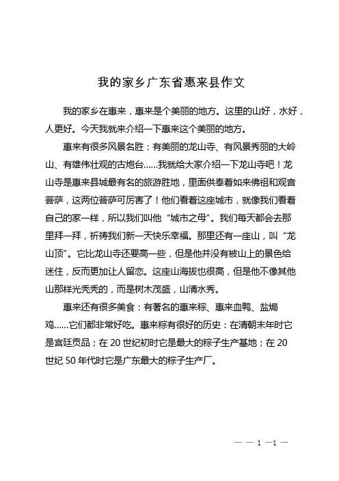 我的家乡广东省惠来县作文