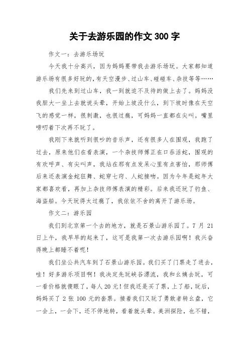 关于去游乐园的作文300字_作文