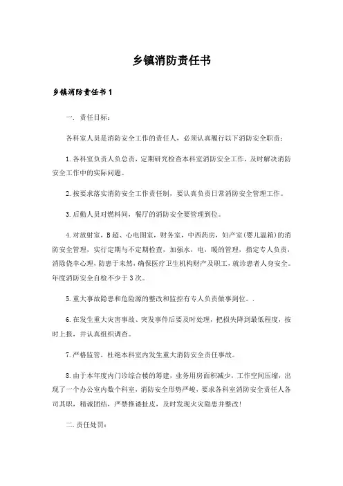 乡镇消防责任书_2