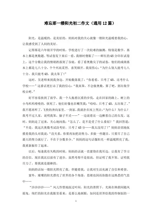 难忘那一缕阳光初二作文范文精选