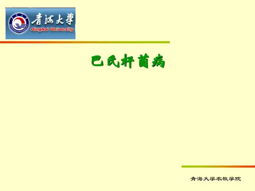 巴氏杆菌病