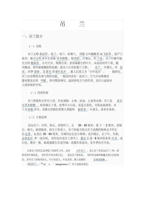 吊兰养殖方法大全(附图)