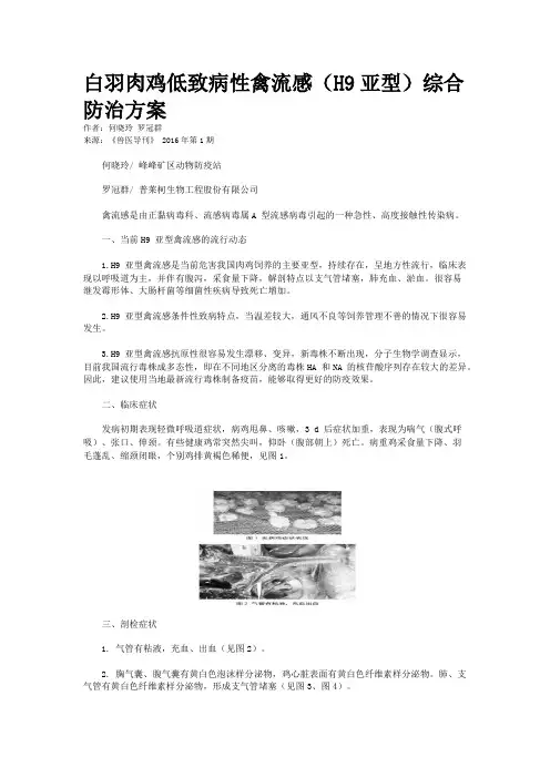 白羽肉鸡低致病性禽流感（H9亚型）综合防治方案