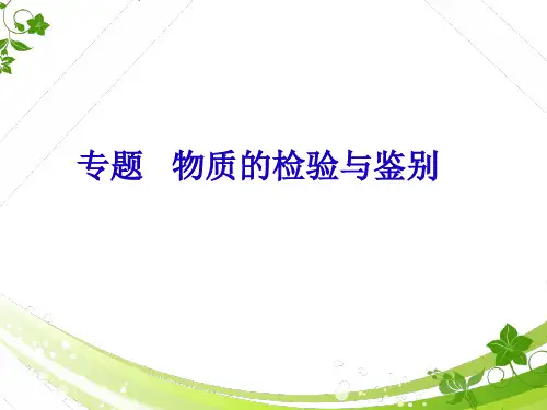 中考化学专题复习物质的检验与鉴别