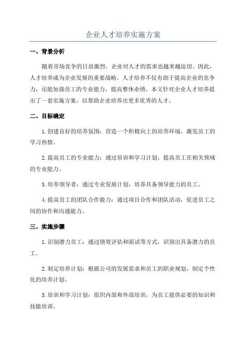 企业人才培养实施方案