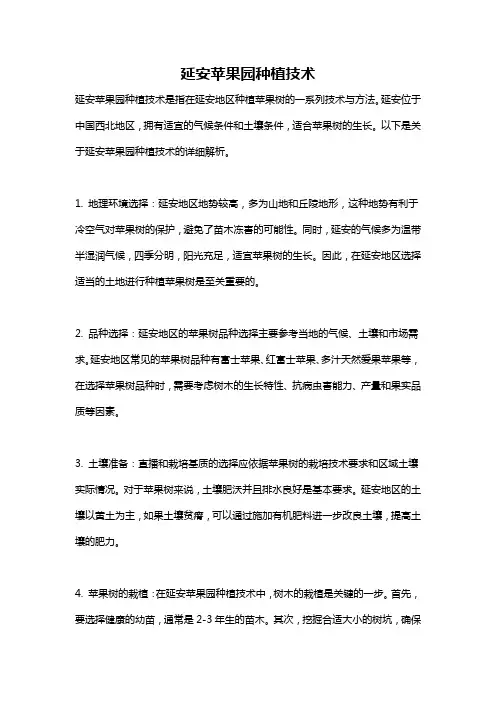 延安苹果园种植技术