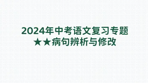 2024年中考语文复习专题 病句辨析与修改 课件(共19张PPT)