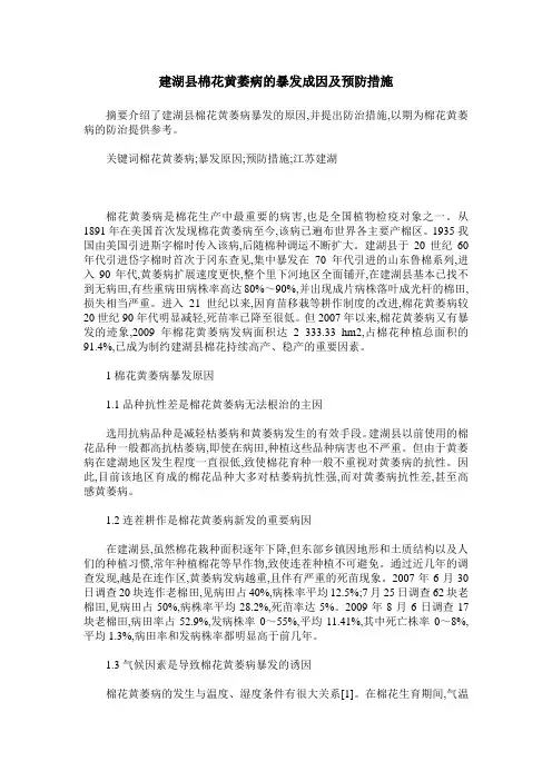 建湖县棉花黄萎病的暴发成因及预防措施