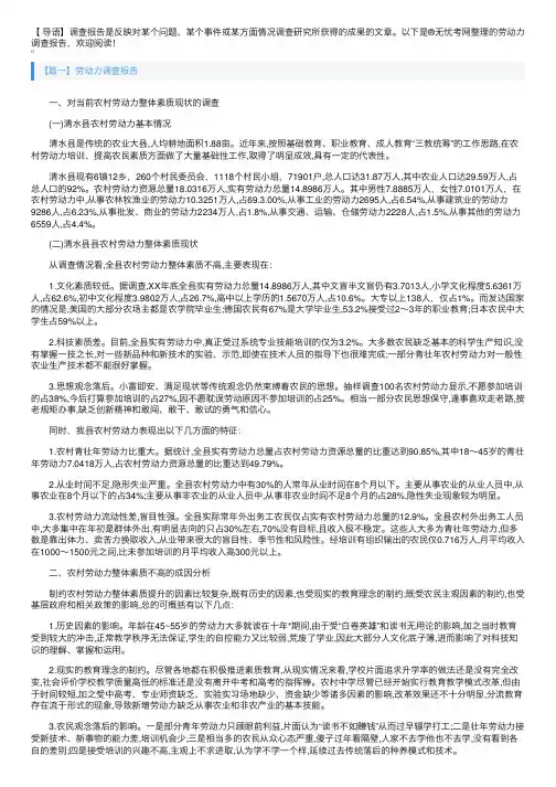 劳动力调查报告