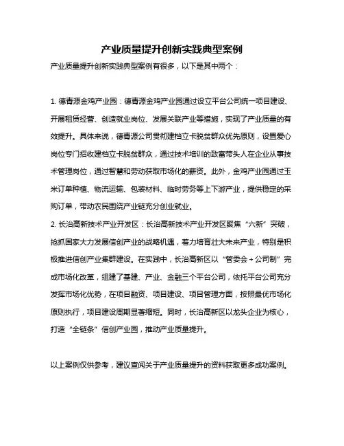 产业质量提升创新实践典型案例