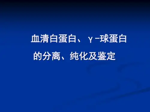 血清白球蛋白的分离、纯化及鉴定
