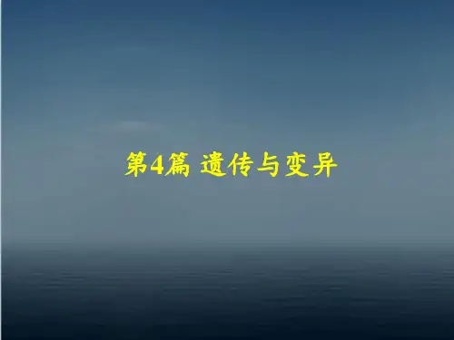 《普通生物学课件》20-遗传的基本规律 ppt课件