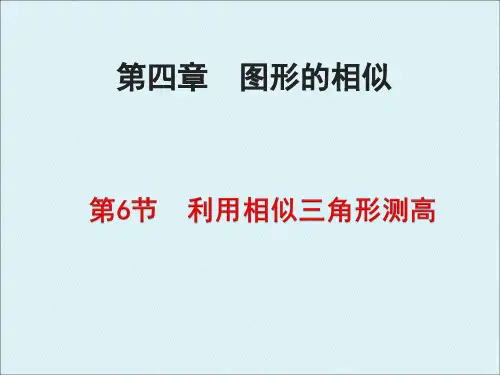 利用相似三角形测高课件.ppt