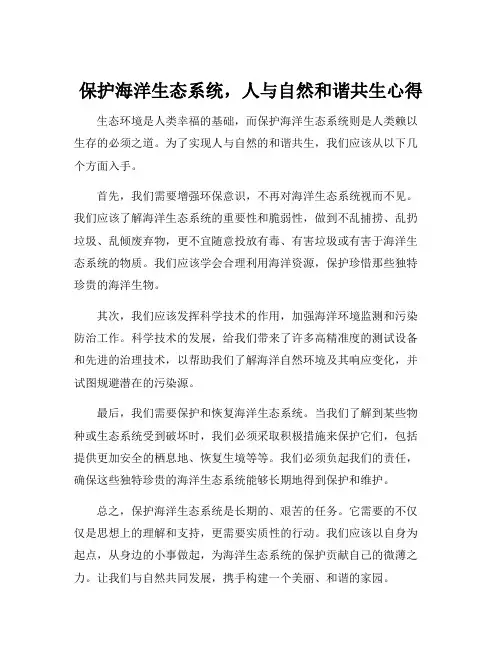 保护海洋生态系统,人与自然和谐共生心得