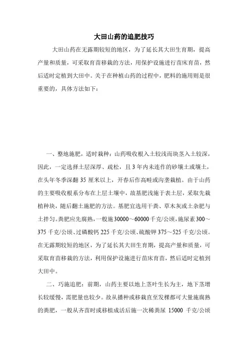 大田山药的追肥技巧