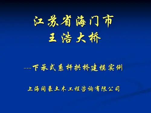 例题六：系杆拱桥建模实例