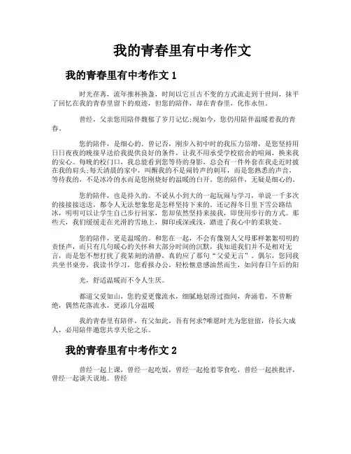 我的青春里有中考作文