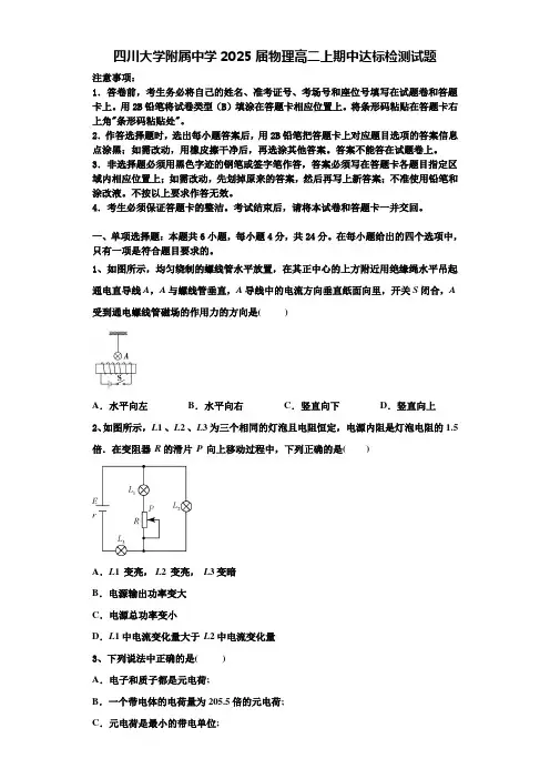 四川大学附属中学2025届物理高二上期中达标检测试题含解析