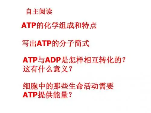 人教版高中生物必修一5.2《细胞的能量通货——ATP》公开课课件(共24张PPT)