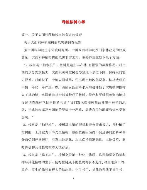 心得体会-种植桉树心得