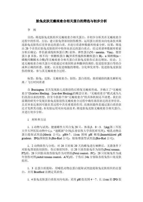 胎兔皮肤无瘢痕愈合相关蛋白的筛选与初步分析