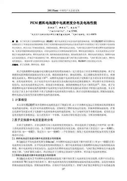 PEM燃料电池膜中电流密度分布及电池性能