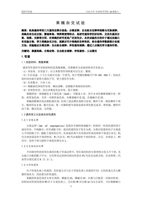 果蝇杂交试验
