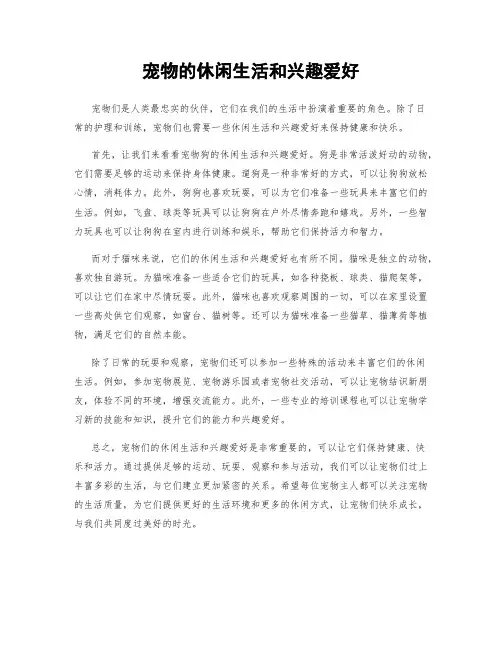 宠物的休闲生活和兴趣爱好