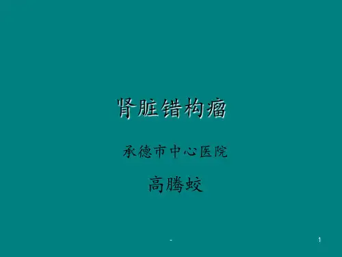 肾脏错构瘤CT诊断ppt课件