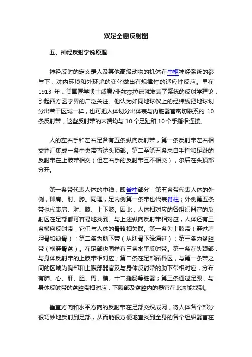 双足全息反射图