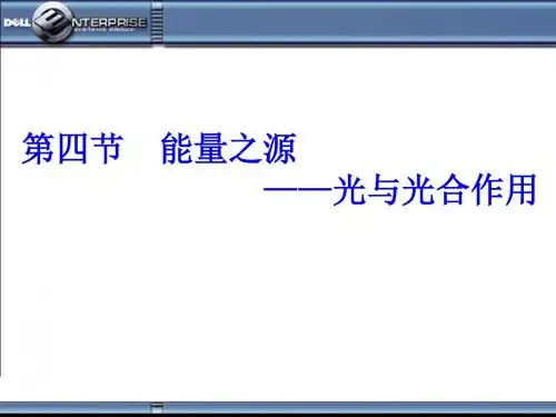 能量之源——光与光合作用