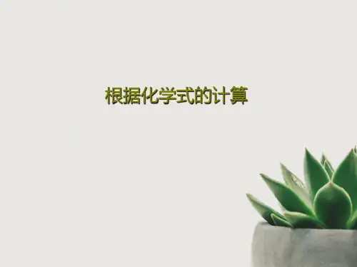 根据化学式的计算共22页文档
