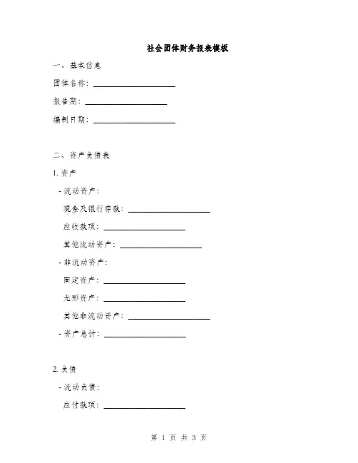 社会团体财务报表模板