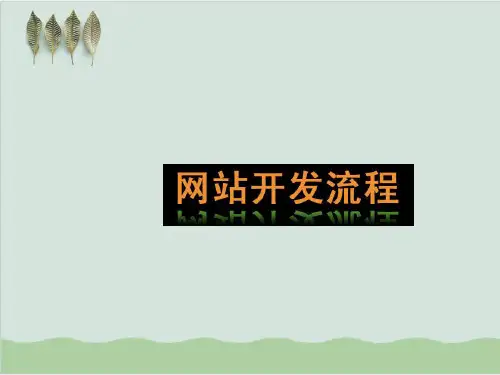 网站开发流程介绍PPT课件(26页)