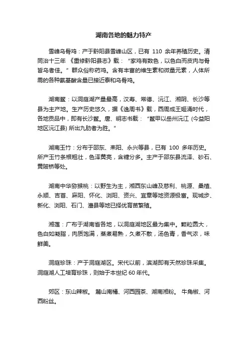 湖南各地的魅力特产