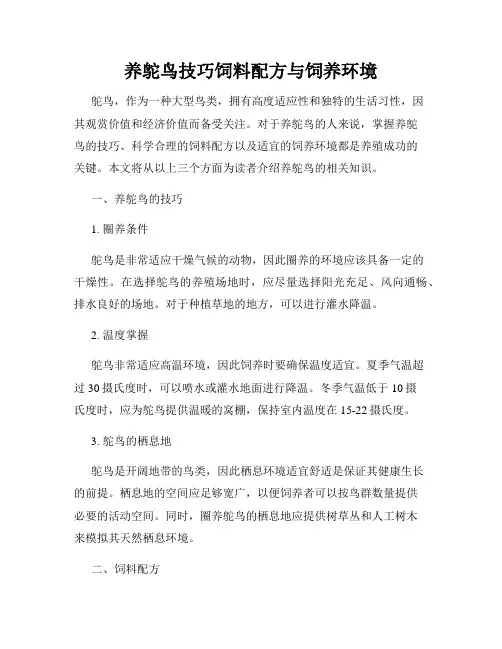 养鸵鸟技巧饲料配方与饲养环境