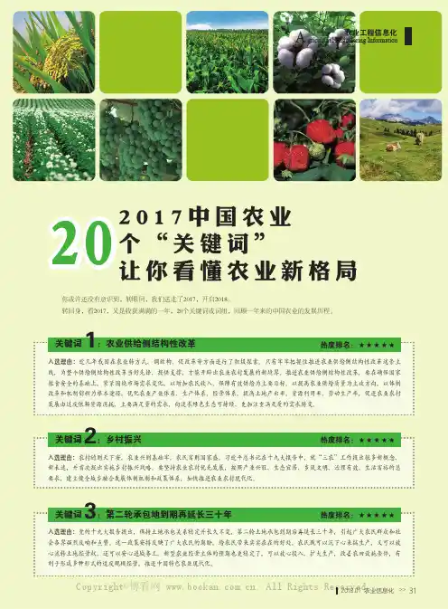 2017中国农业20个“ 关键词”让你看懂农业新格局