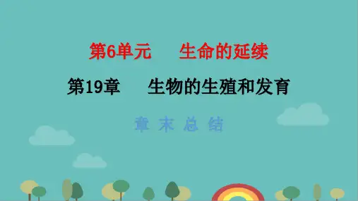 北师大版生物八年级上册 6.19  生物的生殖和发育 章末总结 课件 (共30张ppt)