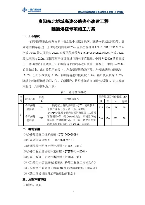 隧道爆破专项施工方案