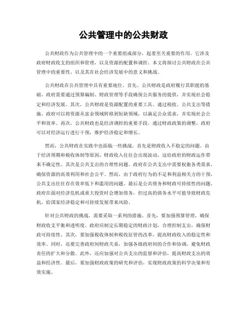 公共管理中的公共财政