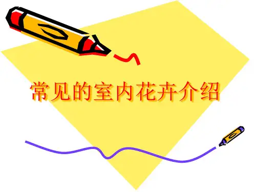 常见室内花卉介绍精品PPT课件