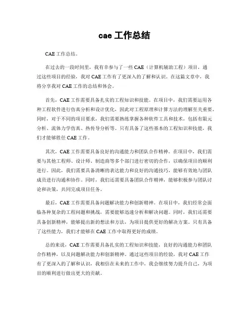 cae工作总结
