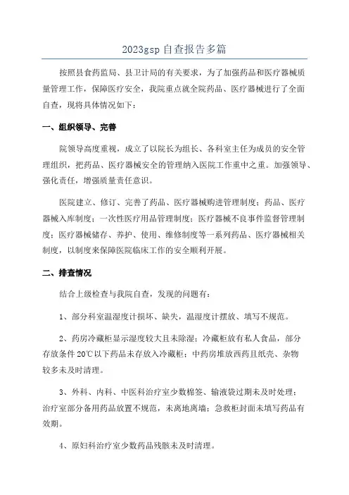 2023gsp自查报告多篇