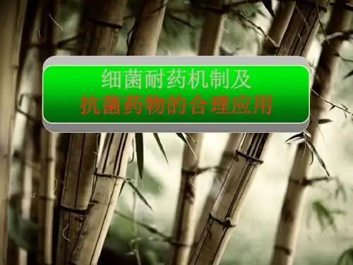 细菌耐药机制及抗菌药物的应用ppt课件