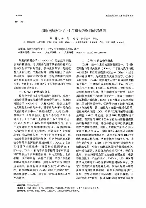 细胞间粘附分子-1与相关妊娠的研究进展