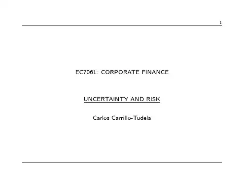 Uncertainty Risk