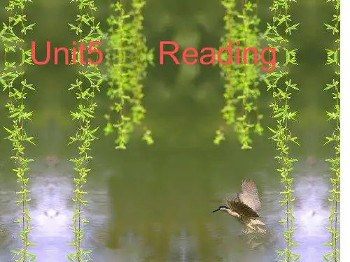 新牛津英语7B Unit5 Reading